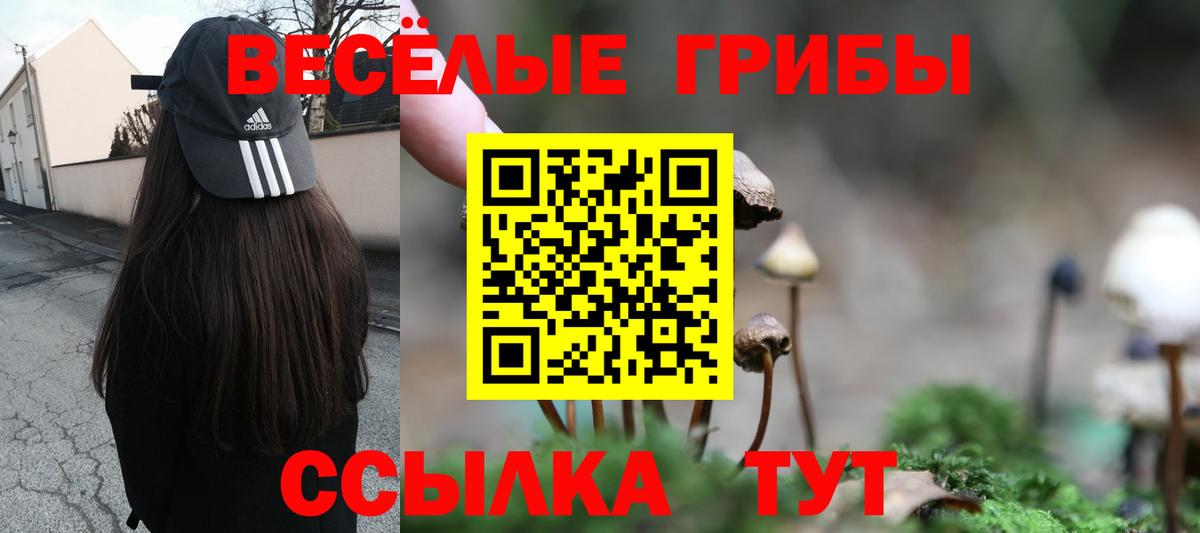 Псилоцибиновые грибы GOLDEN TEACHER Екатеринбург